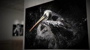 Micro LED Display Malaysia. Samsung's the wall.