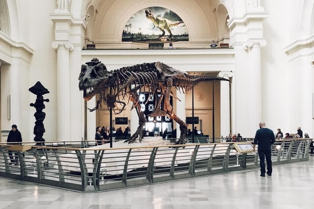museum