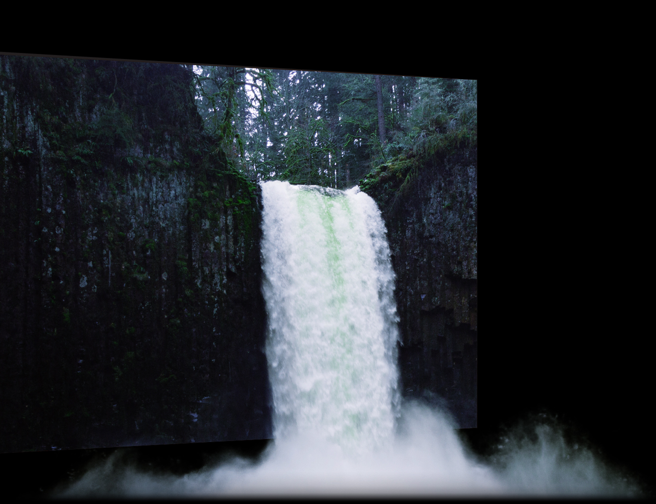 VANTA COB microLED Display is Great Contrast for Lifelike Content