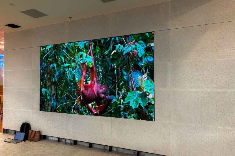 VANTA COB microLED Screen at Enzee, The Ascent Paradigm