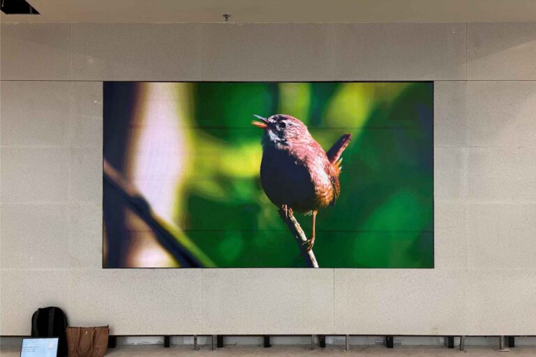 VANTA COB microLED Screen at Enzee, The Ascent Paradigm