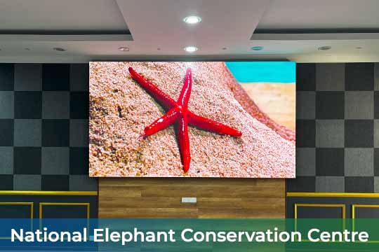 VANTA COB microLED Screen at National Elephant Conservation Centre Kuala Gandah
