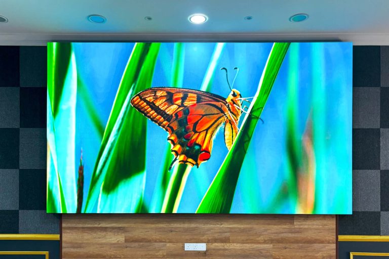 VANTA COB microLED Screen at National Elephant Conservation Centre Kuala Gandah