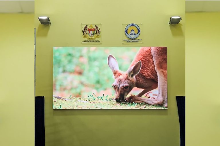 Indoor LED Screen for Lembaga Perindustrian Nanas