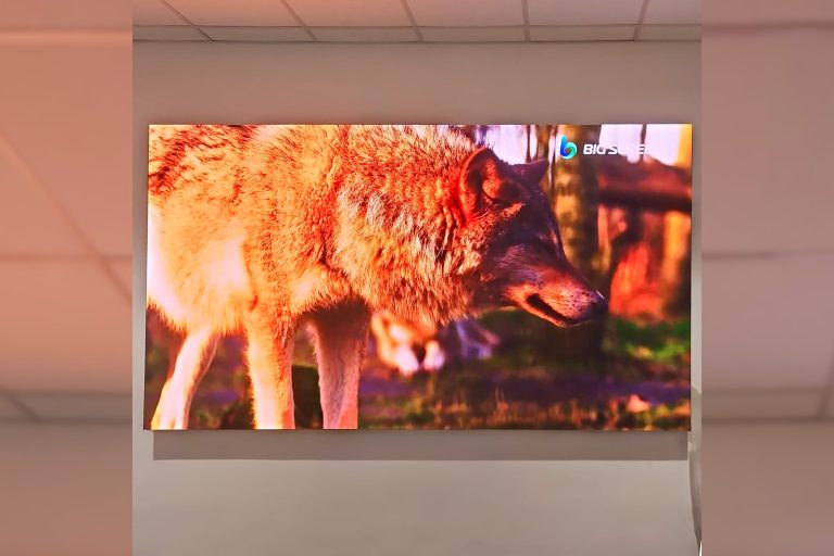 VANTA COB microLED Screen for Pusat Simulasi Bencana Alam Malaysia