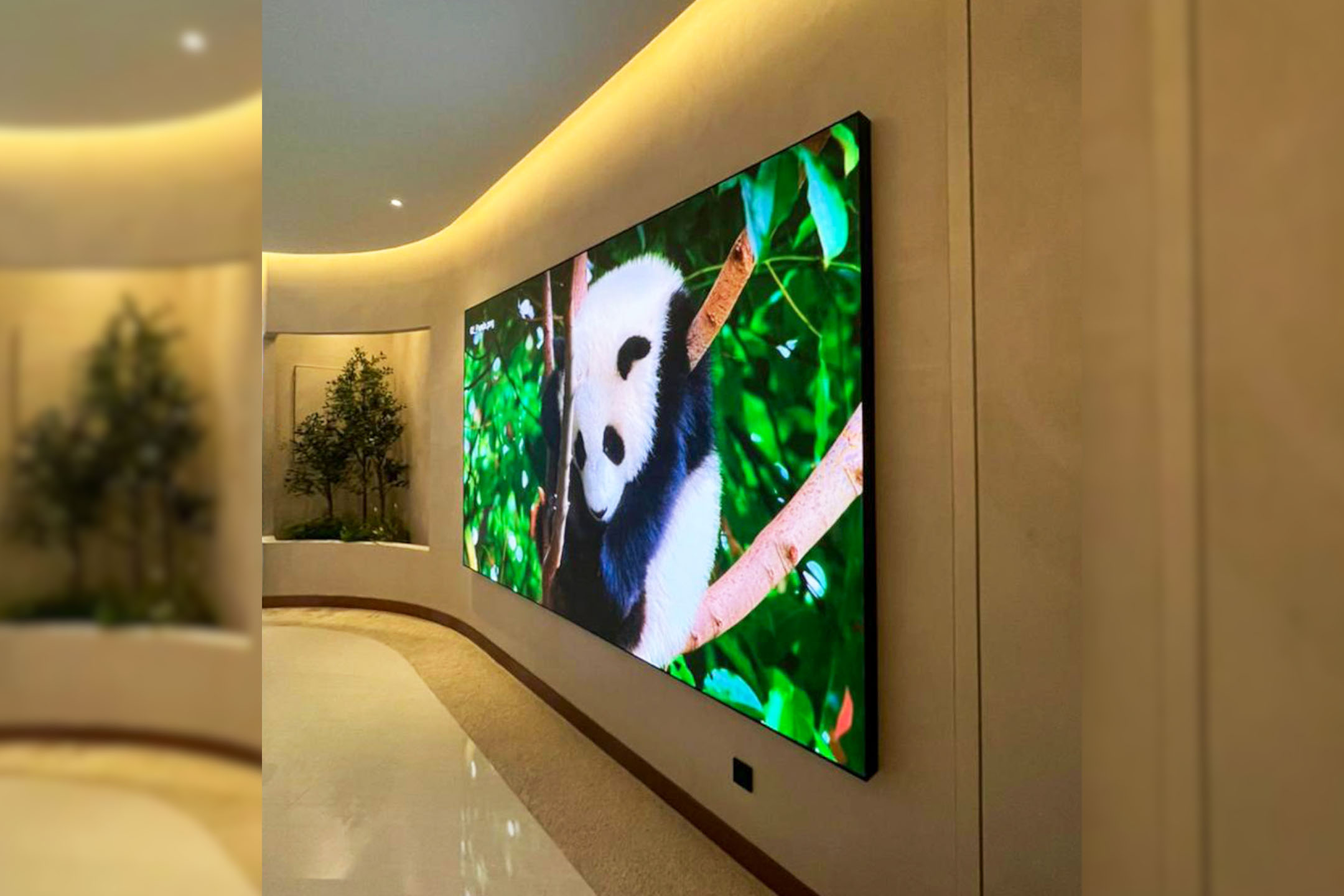 Taghill Holding Sales Gallery