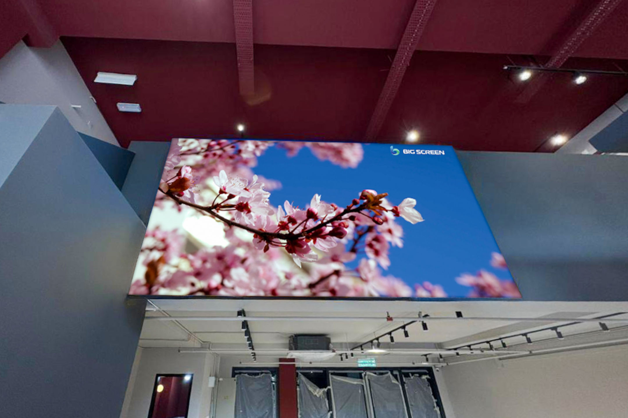 SCland Gallery