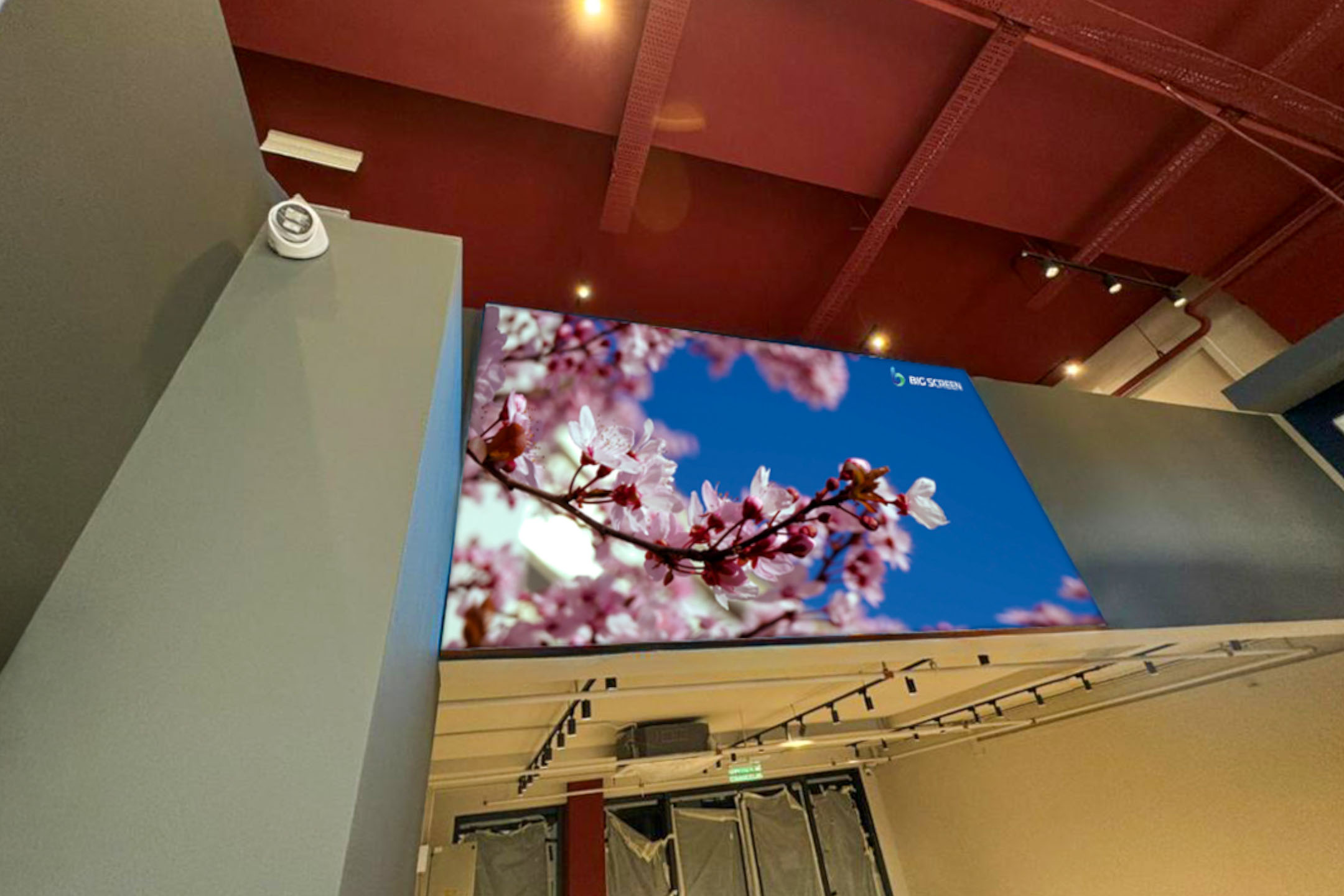 SCland Gallery